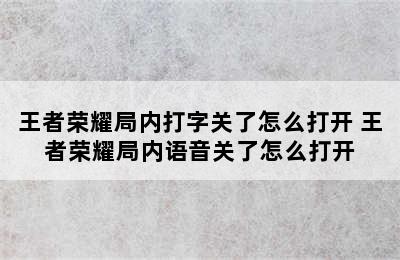 王者荣耀局内打字关了怎么打开 王者荣耀局内语音关了怎么打开